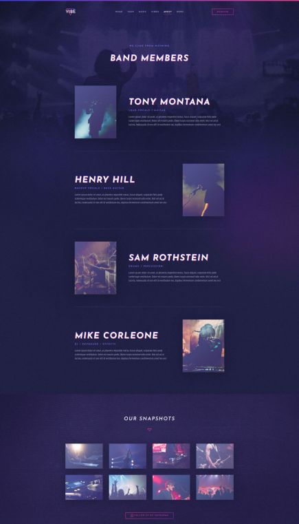 Vibe WordPress Theme Team Layout