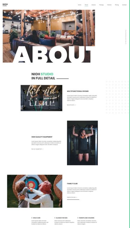 Nioh Studio WordPress Theme About Layout