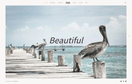 Stage WordPress Theme Apricot Style