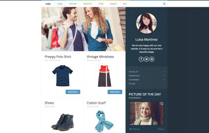 Vida Joomla Template Blue Style