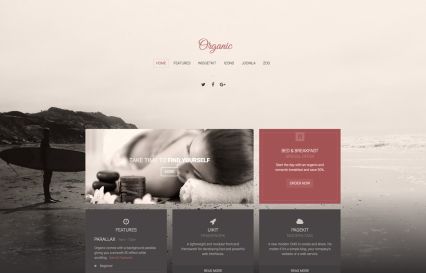 Organic WordPress Theme Brown Style