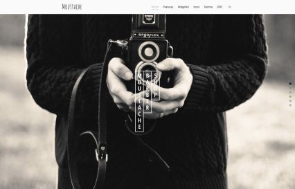 Moustache WordPress Theme Camera Style