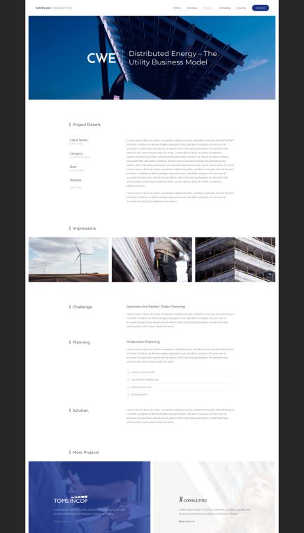 Morgan Consulting WordPress Theme Case Study Layout