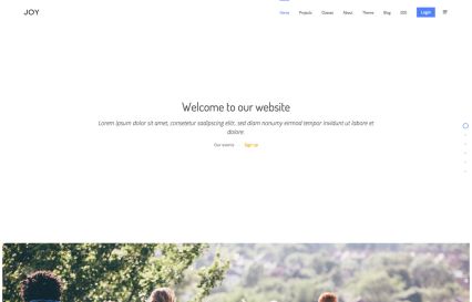 Joy WordPress Theme Default Style