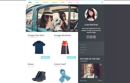 Vida WordPress Theme Default Style