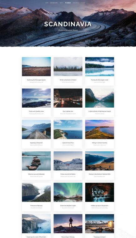 Fjord WordPress Theme Index Layout