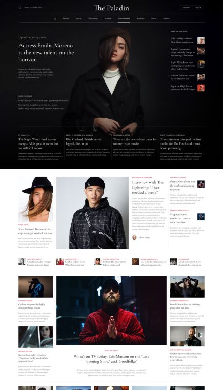 Paladin WordPress Theme Home Layout