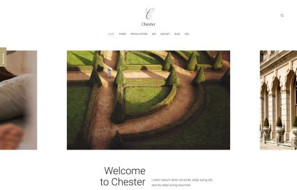 Chester WordPress Theme Gold Style