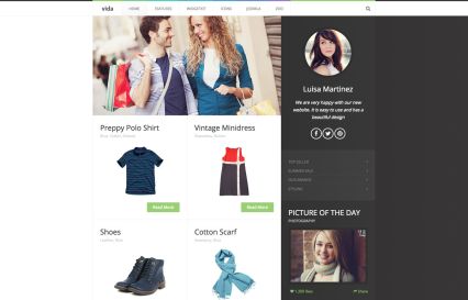 Vida WordPress Theme Green Style