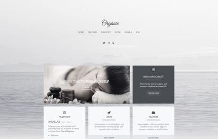 Organic WordPress Theme Grey Style