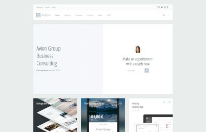 Avion WordPress Theme Light Style