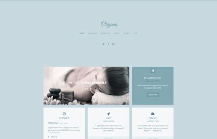 Organic WordPress Theme Lightblue Style