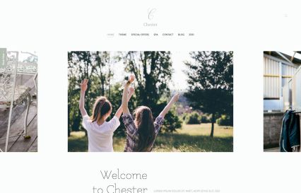 Chester WordPress Theme Moss Style