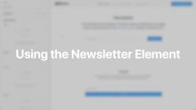 Newsletter Element Documentation Video for WordPress