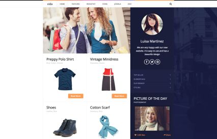 Vida WordPress Theme Orange Style