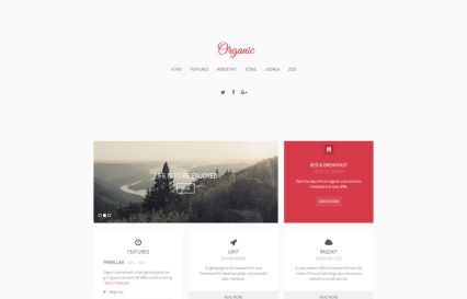 Organic WordPress Theme Organic Style