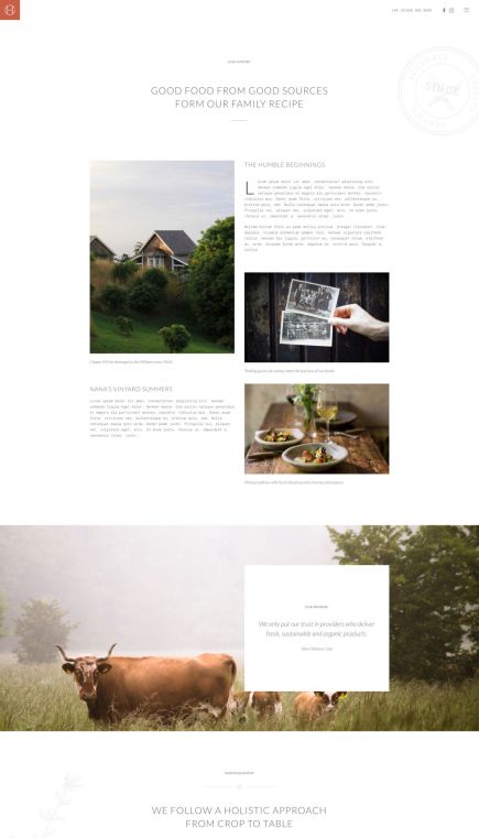 Copper Hill WordPress Theme About Layout