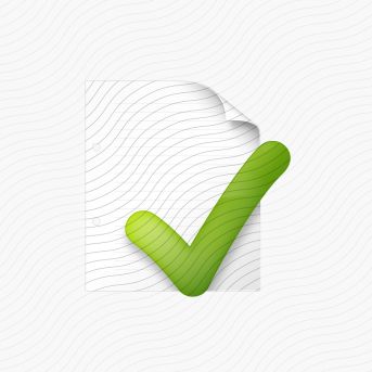 Page Check Icon