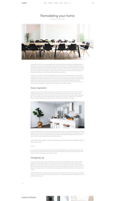 Juno WordPress Theme Post Layout