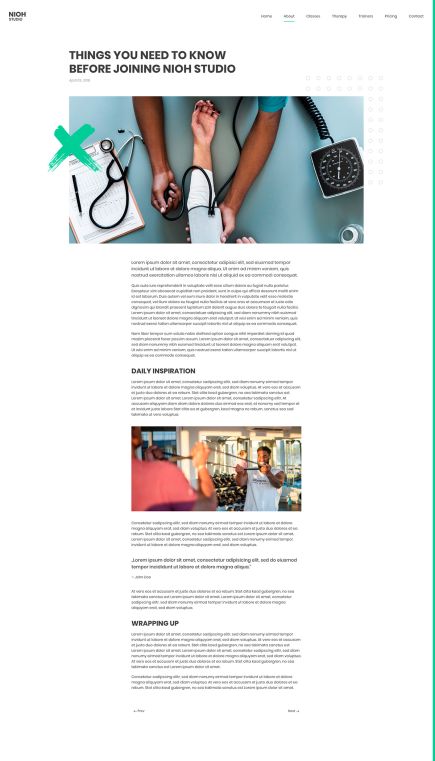 Nioh Studio WordPress Theme Post Layout