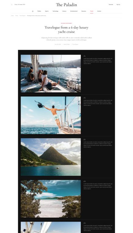 Paladin WordPress Theme Post Custom Layout