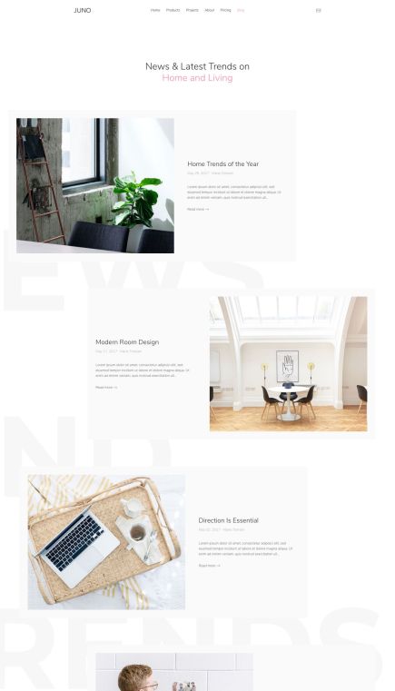 Juno WordPress Theme Index Layout