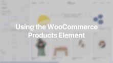 WooCommerce Products Element Documentation Video for WordPress