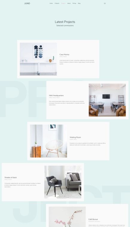 Juno WordPress Theme Portfolio Layout