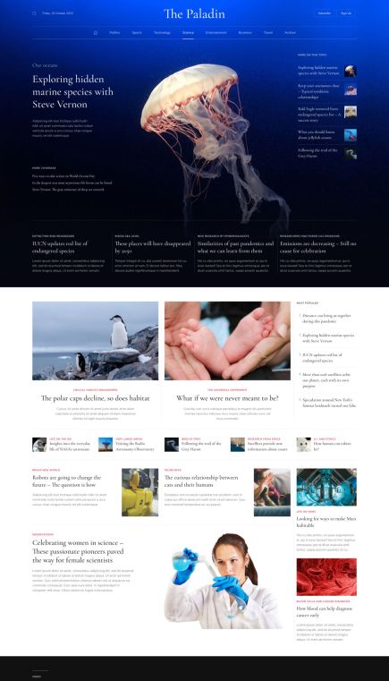 Paladin Joomla Template Home Layout