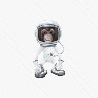 Spacemonkey Icon