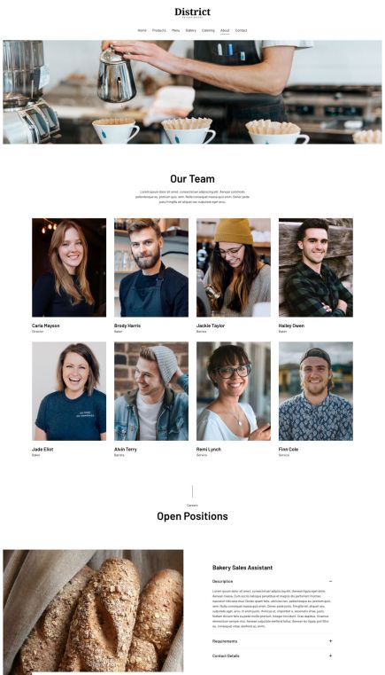 District WordPress Theme Team Layout