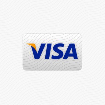 Visa Icon