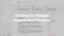 Widget Appearance Options Documentation Video for WordPress