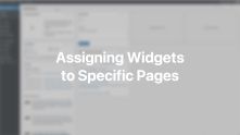 Widget Visibility Documentation Video for WordPress